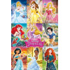 Disney Princess (Collage)