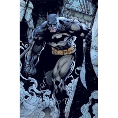 Batman (Prowl)