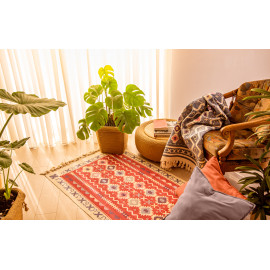 ხალიჩა-ფარდაგი - 150 x 90, 4 image