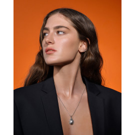 ვერცხლის კულონი - კუ, 2 image