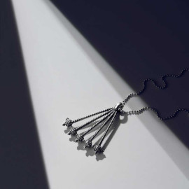 ვერცხლის კულონი - სხივანა, 3 image