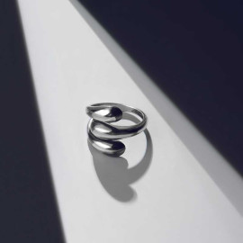 ვერცხლის ბეჭედი - კოლხეთი სამი, 2 image