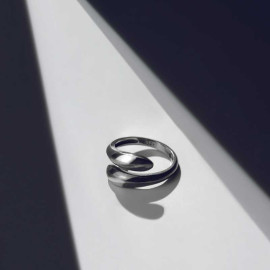 ვერცხლის ბეჭედი - კოლხეთი ორი, 2 image