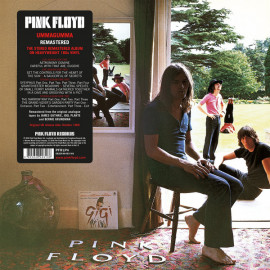 Pink Floyd - Ummagumma – Vinyl