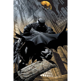 Batman (Night Watch)