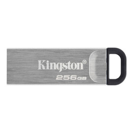 Kingston მეხსიერების ბარათი 256GB USB 3.2 123298