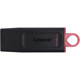 Kingston ფლეშ მეხსიერების ბარათი 256GB USB 3.2 Gen1 DT Exodia DTX/256GB