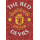 Manchester United (Mosaic)