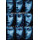 Game Of Thrones (Winter is Here) Maxi Poster Game Of Thrones (Winter is Here) Maxi Poster