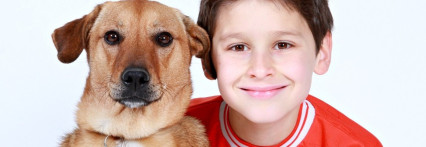 რა იწვევს ალერგიას შინაური ცხოველების მიმართ და როგორ მოვიქცეთ ამ შემთხვევაში?