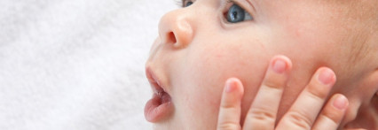 „ბატონები” მობრძანებულა: წითელას ეპიდაფეთქება საქართველოში