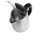 ელექტრო ჩაიდანი - Sencor SWK 1720BK, 2 image
