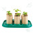 Hape მწვანე სახლი მცენარეებისთვის Growing Gardners Green house, 2 image