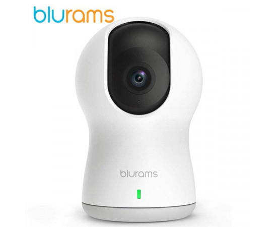 Blurams ვიდეო სათვალთვალო კამერა A30C (ბლურემსი)