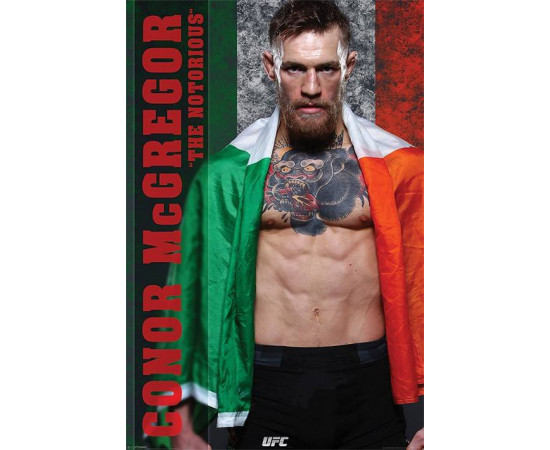 Conor McGregor 2017 Maxi Poster