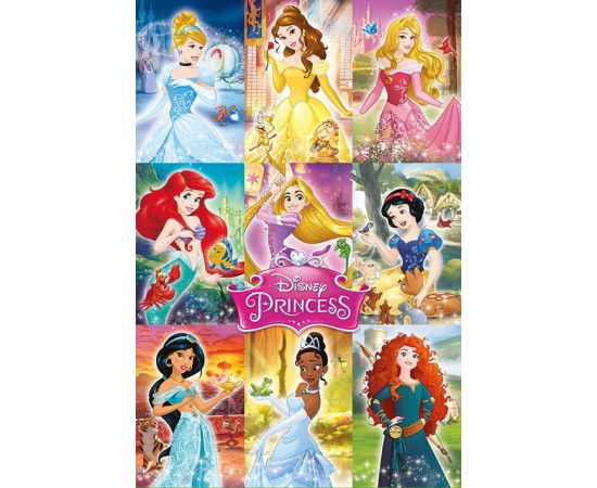 Disney Princess (Collage)