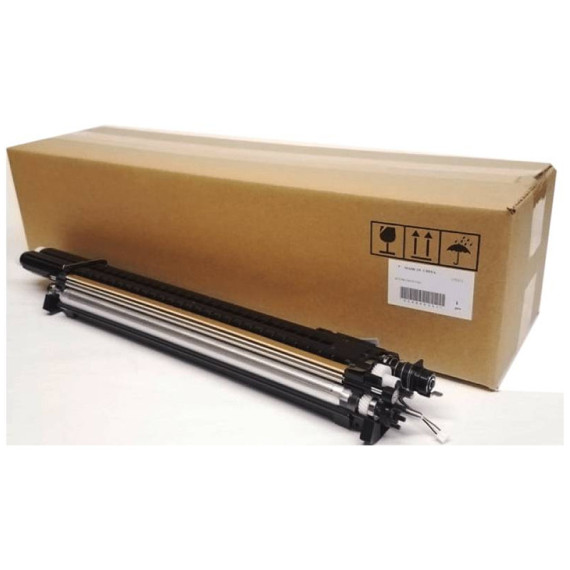 Xerox კატრიჯი 604K91150 DEVELOPMENT UNIT MAGENTA (38 000 Pages)