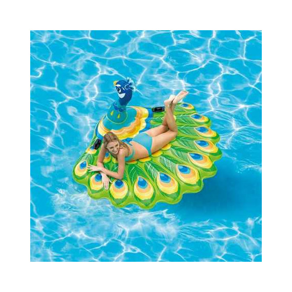 გასაბერი ფარშევანგი 1.9x1.6x1.0 - Intex, 2 image