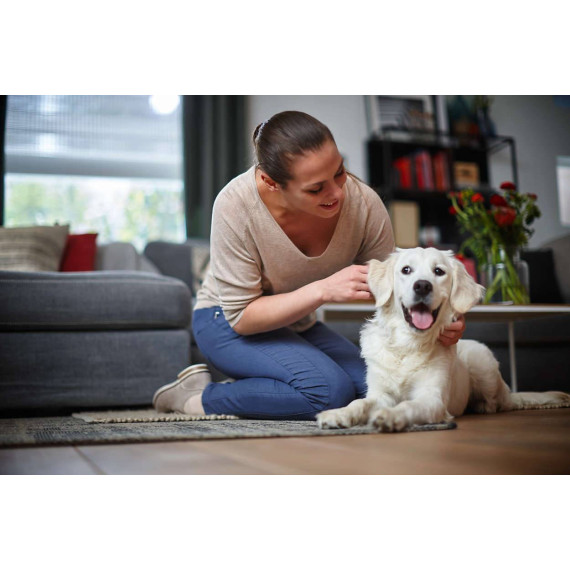 Philips მტვერსასრუტი FC8588 (ფილიფსი), 6 image