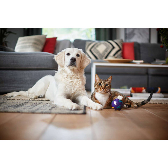 Philips მტვერსასრუტი FC8588 (ფილიფსი), 7 image