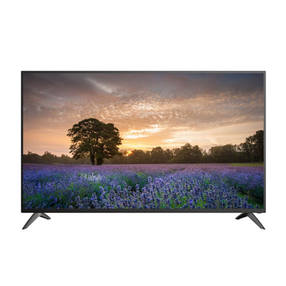 ColorView ტელევიზორი 24D1 (ქოლორვიუ)