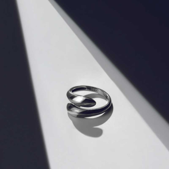 ვერცხლის ბეჭედი - კოლხეთი ორი, 2 image