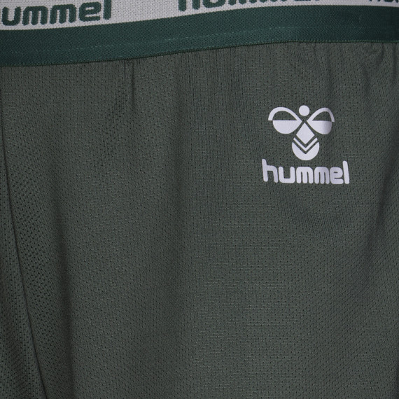 AGUSTO შორტი - Hummel (ჰუმელი), ფერი: მწვანე, ზომა: XL, 4 image