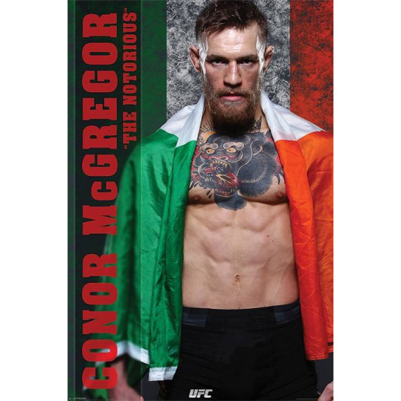 Conor McGregor 2017 Maxi Poster