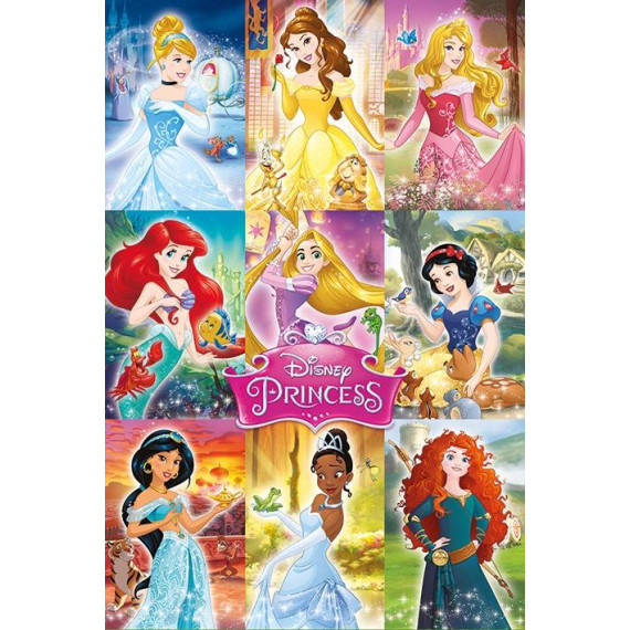 Disney Princess (Collage)