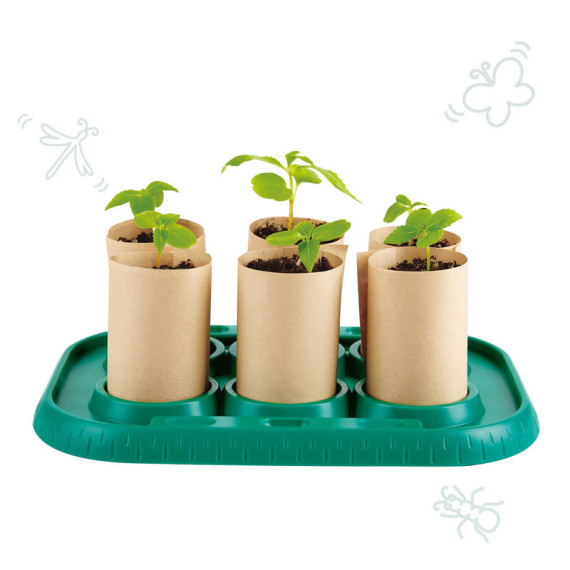 Hape მწვანე სახლი მცენარეებისთვის Growing Gardners Green house, 2 image