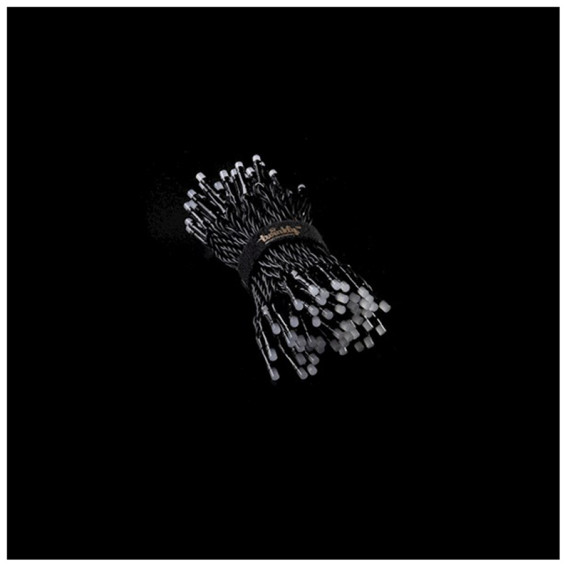 Smart Led გირლიანდა Twinkly TWS100STP-BEU, 4 image