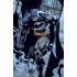 Batman (Prowl)
