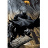Batman (Night Watch)